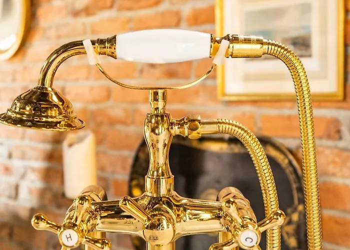 Nold 伊斯坦布尔